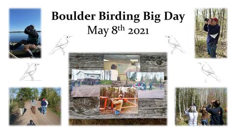 Boulder Birding Big Day